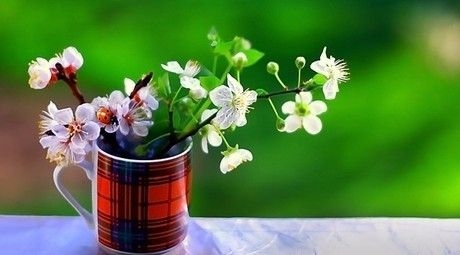 �Ϸʶ��ջI��